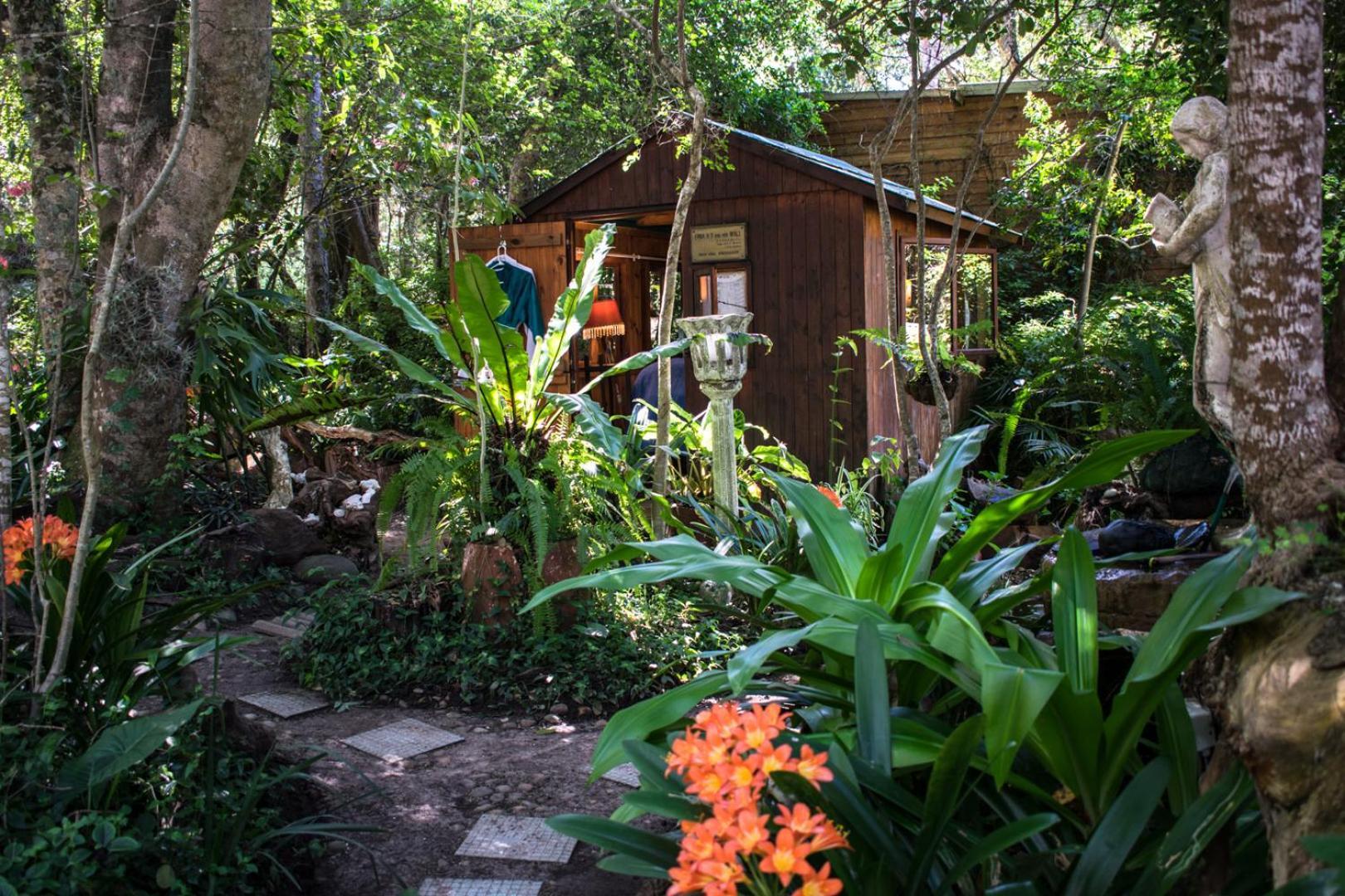 Nature'S Valley Health Retreat A Hide Away In The Forest Eksteriør billede