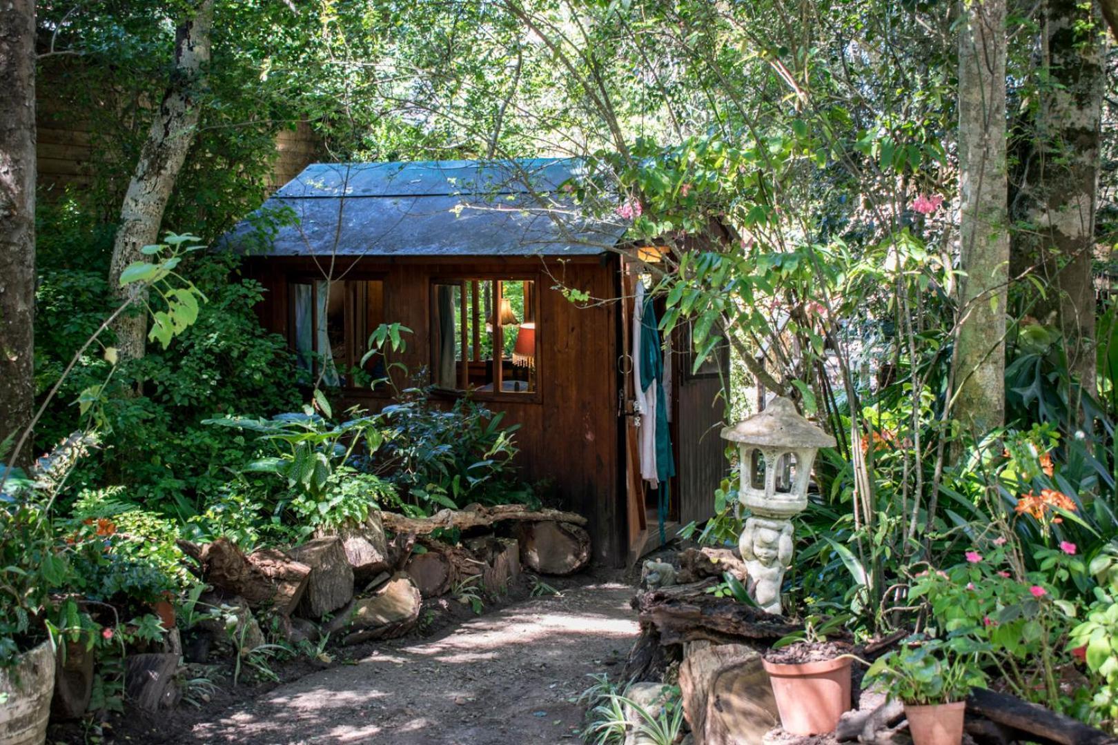 Nature'S Valley Health Retreat A Hide Away In The Forest Eksteriør billede