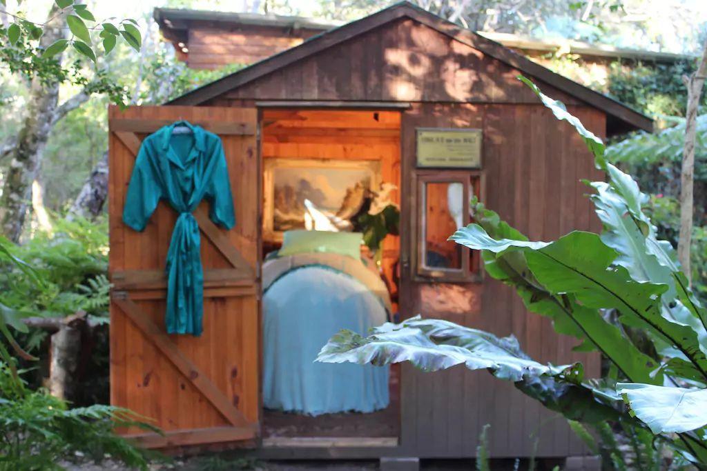 Nature'S Valley Health Retreat A Hide Away In The Forest Eksteriør billede