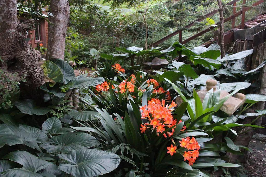 Nature'S Valley Health Retreat A Hide Away In The Forest Eksteriør billede